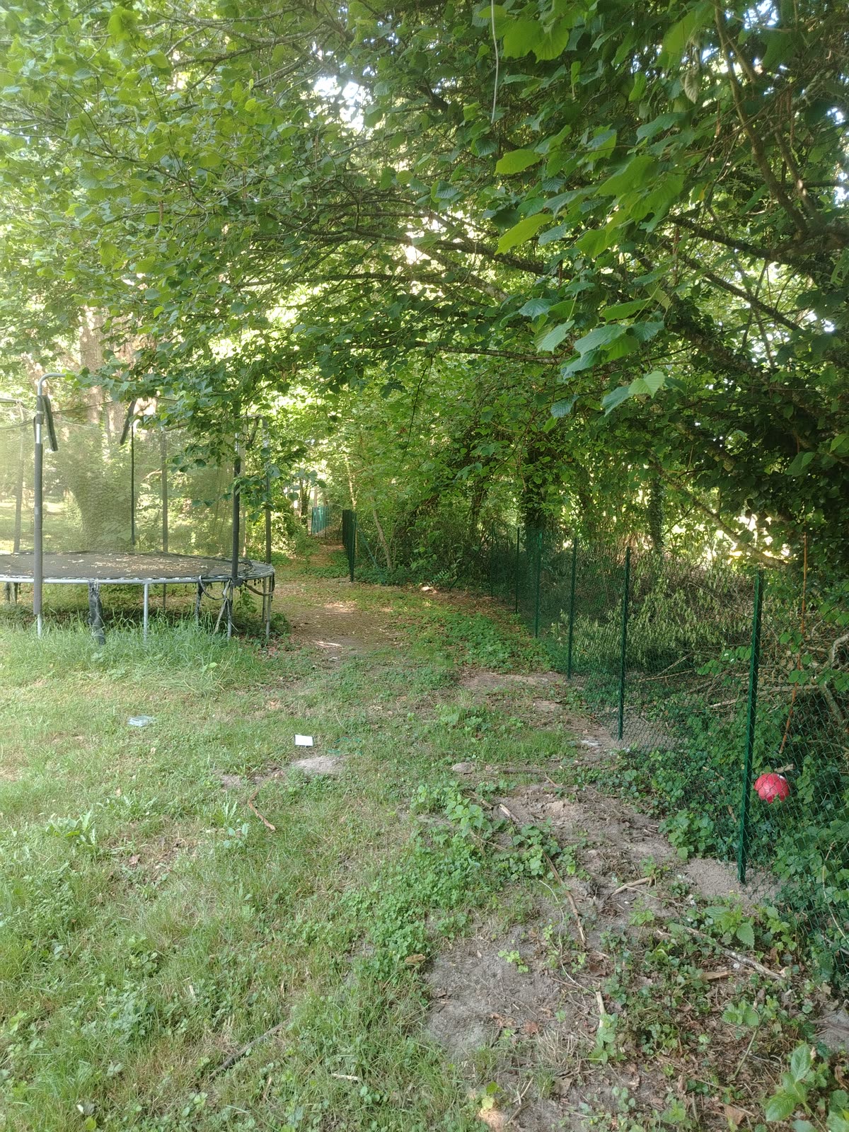 Création paysagère
