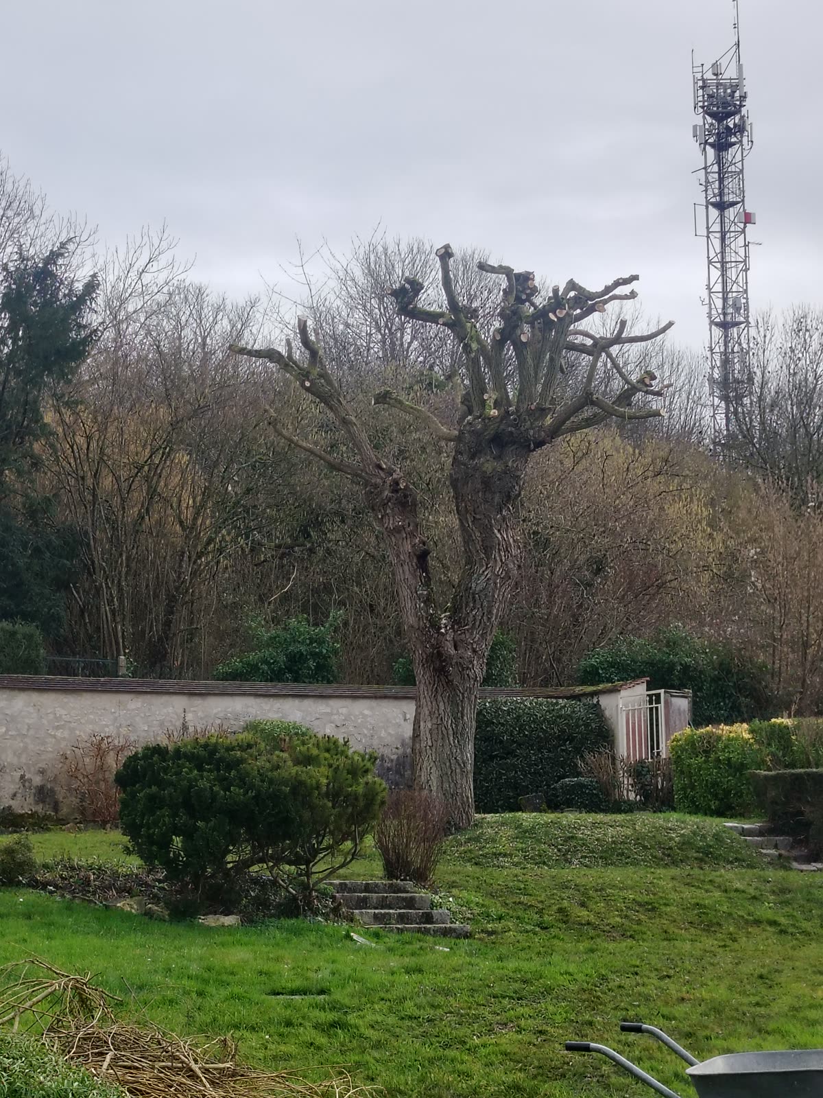 Paysagiste tondant une pelouse dans un parc en Seine-et-Marne